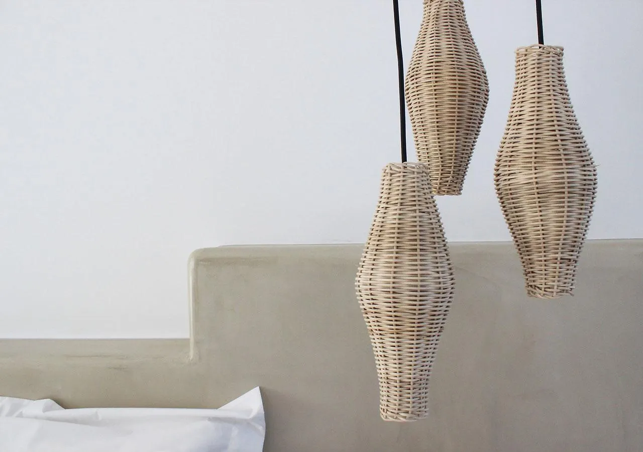 Mykonos Cactus Hotel Ornos