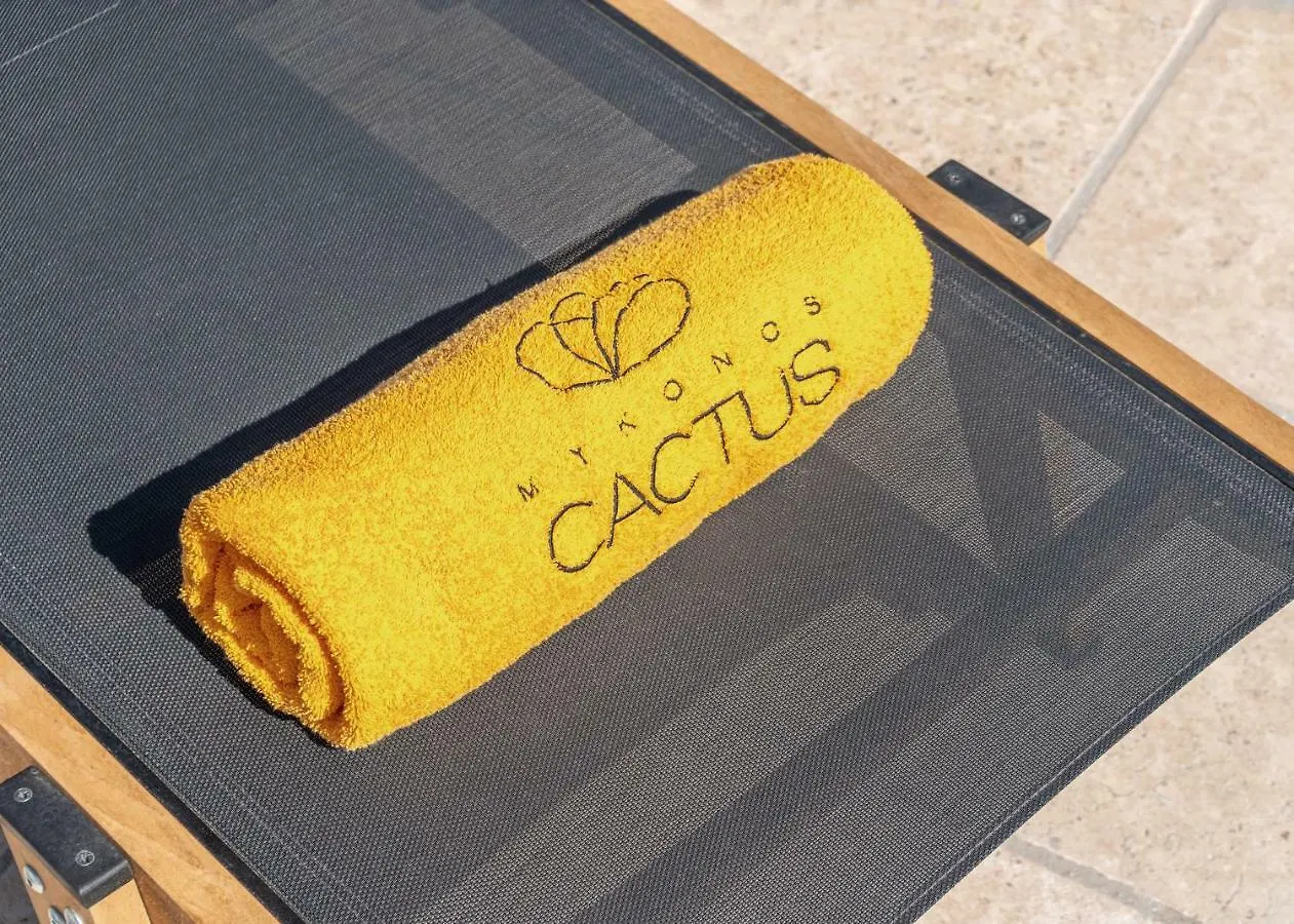 Mykonos Cactus Hotel Ornos